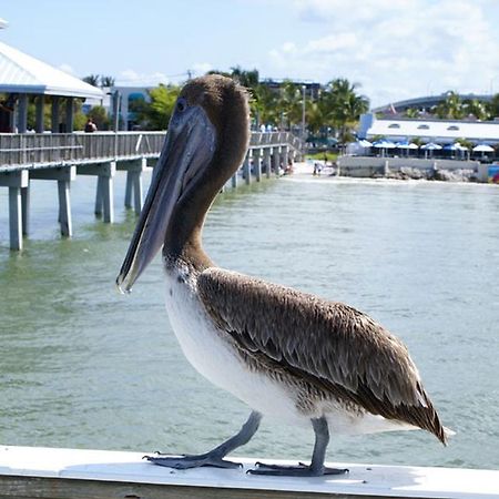 Manatee Bay Inn Fort Myers Beach Dış mekan fotoğraf